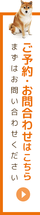 ご予約・お問合わせはこちら