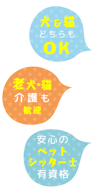 犬＆猫どちらもOK、老犬・猫介護も歓迎、安心のペットシッター士有資格