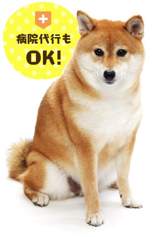 病院代行もOK!
